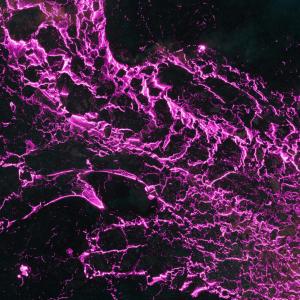 NAKAMURA的專輯Lava