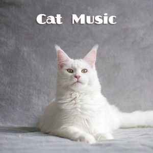 Album Cat Music from RelaxMyCat