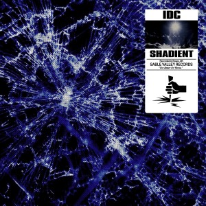 Listen to IDC song with lyrics from Shadient