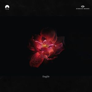 Listen to Fragile song with lyrics from Peak Twilight