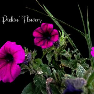 อัลบัม Pickin' Flowers ศิลปิน Magoo