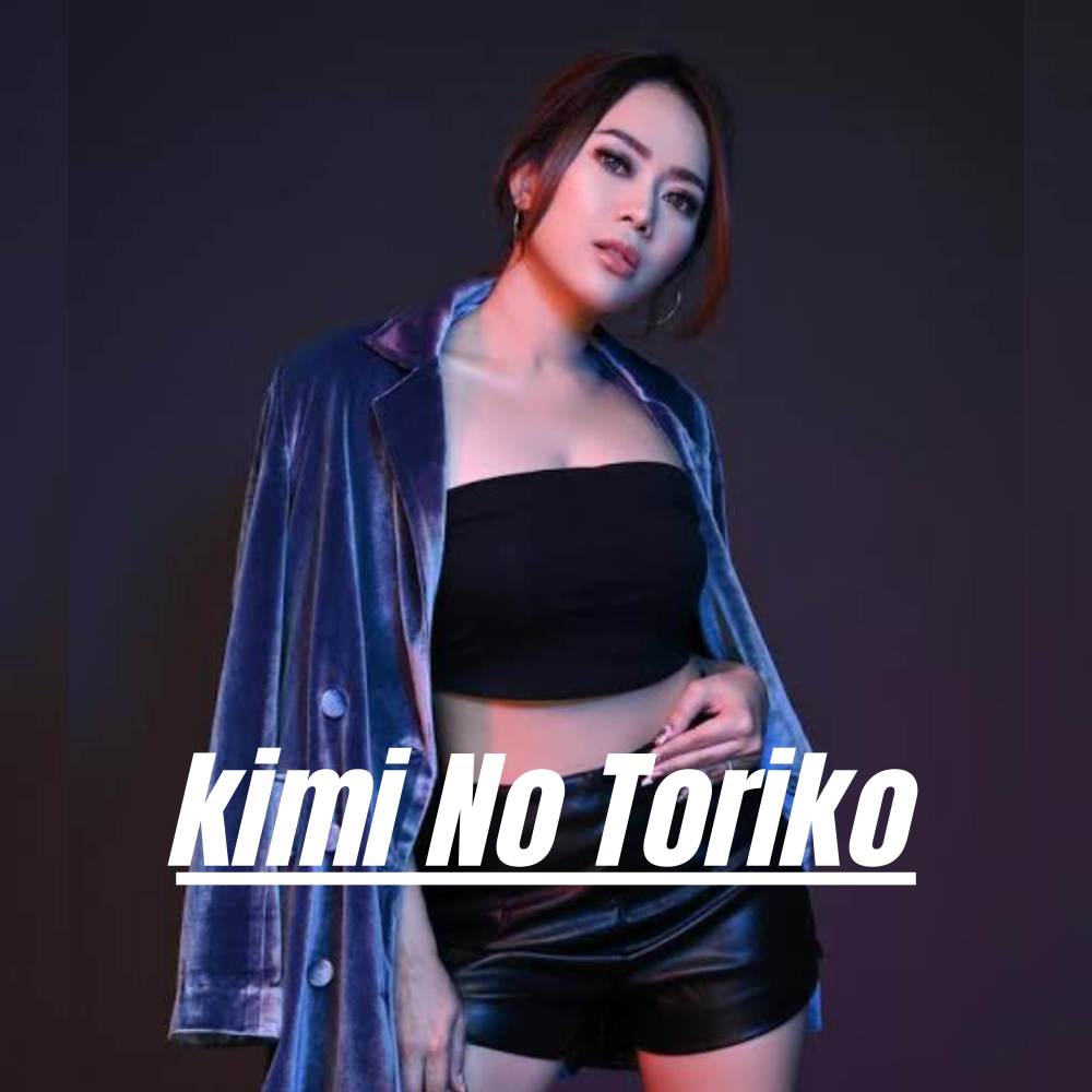 DJ KIMI NO TORIKO