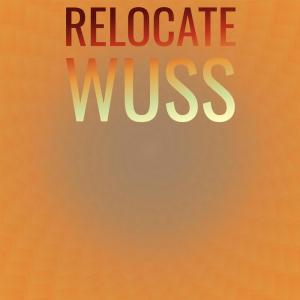 Various的专辑Relocate Wuss