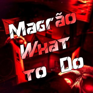 Listen to Magrão What to Do (Explicit) song with lyrics from DJ LK DA VB