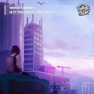 Listen to Is It Too Late (feat. Emy Smith) song with lyrics from Wood Cherry