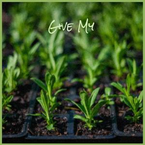 Listen to Fell What song with lyrics from Alall Gite
