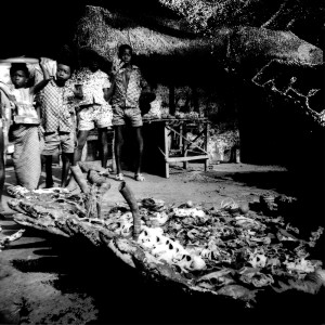 อัลบัม Tribal War-Sweet ศิลปิน Babe Roots