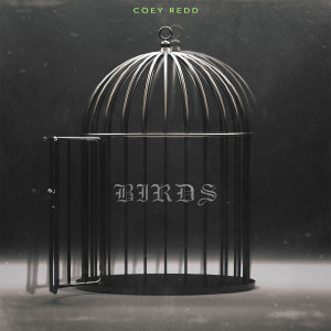 Listen to Birds song with lyrics from Coey Redd