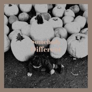 Album Somebody Different from Various