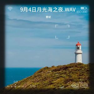 Album 月是故乡圆 from 曹斌