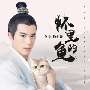 Dengarkan 懷裡的魚 (電視劇《我在大理寺當寵物》主題曲) lagu dari 徐开骋 dengan lirik