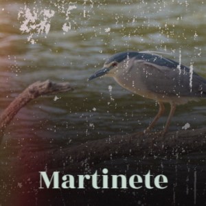 Listen to Martinete song with lyrics from Antonio Mairena