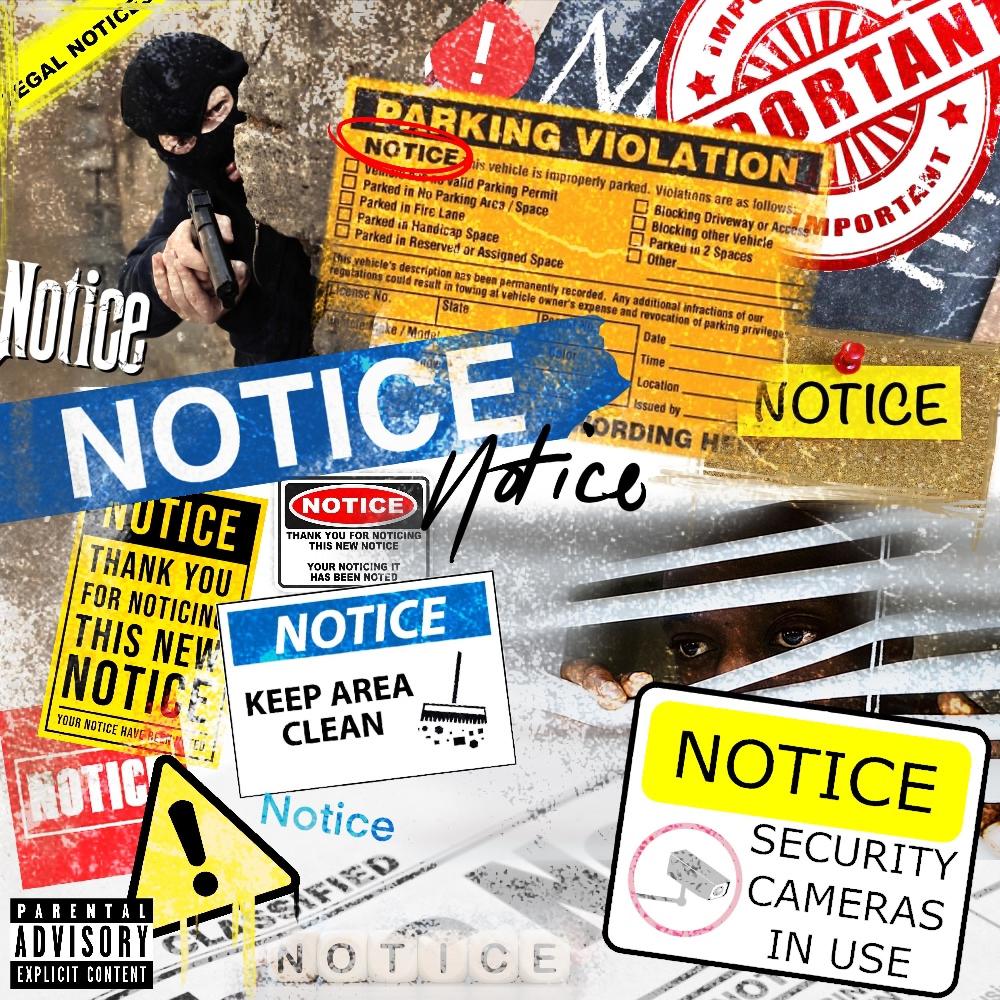 Notice (feat. Rich Sans) (Explicit)