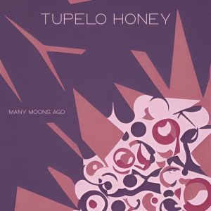 Tupelo Honey的專輯Many Moons Ago