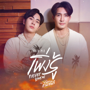 อัลบัม เพิ่งรู้(Never Knew) - Single ศิลปิน Mix Sahaphap