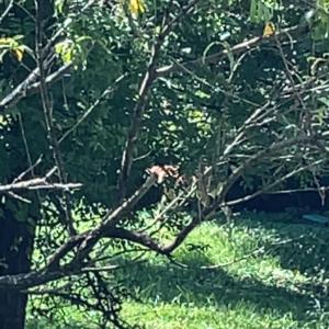 收聽KT!的back up again (Explicit)歌詞歌曲