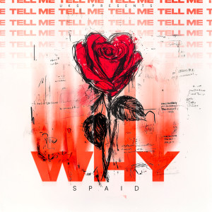 ดาวน์โหลดและฟังเพลง Tell Me Why พร้อมเนื้อเพลงจาก Spaid