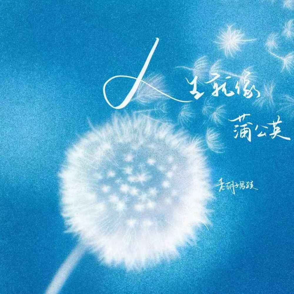 人生就像蒲公英