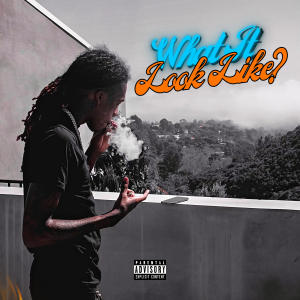 ดาวน์โหลดและฟังเพลง What It Look Like (Explicit) พร้อมเนื้อเพลงจาก MaccMall