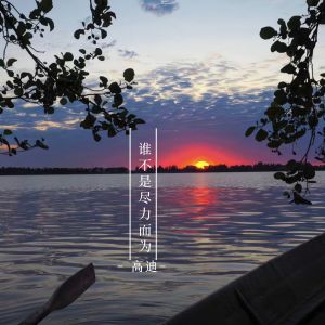Album 谁不是尽力而为 from 高迪