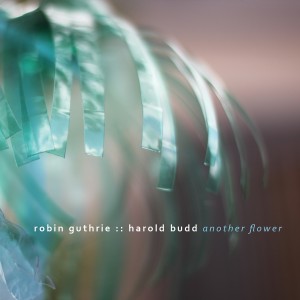 อัลบัม Another Flower ศิลปิน Robin Guthrie