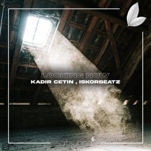Listen to Looking Now song with lyrics from Kadir Cetin