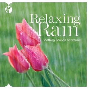 ดาวน์โหลดและฟังเพลง Ripples on the Water พร้อมเนื้อเพลงจาก Reflections
