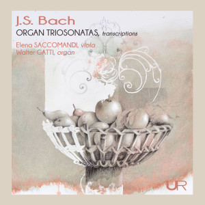 收听Elena Saccomandi的I. Vivace (Transcr. for Viola and Organ)歌词歌曲