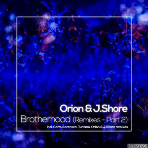 Listen to Architect's Dream (Turismo Remix) song with lyrics from Orion
