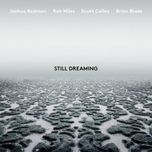 收聽Joshua Redman的Blues for Charlie (feat. Ron Miles, Scott Colley & Brian Blade)歌詞歌曲