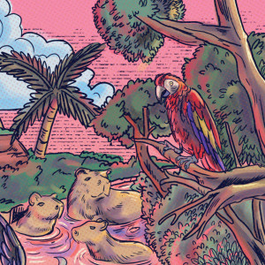 default playlist img