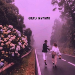 ดาวน์โหลดและฟังเพลง Forever in My Mind พร้อมเนื้อเพลงจาก Ata Denis
