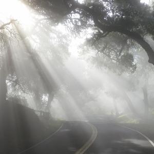 收聽Penna的Midnight Ride歌詞歌曲