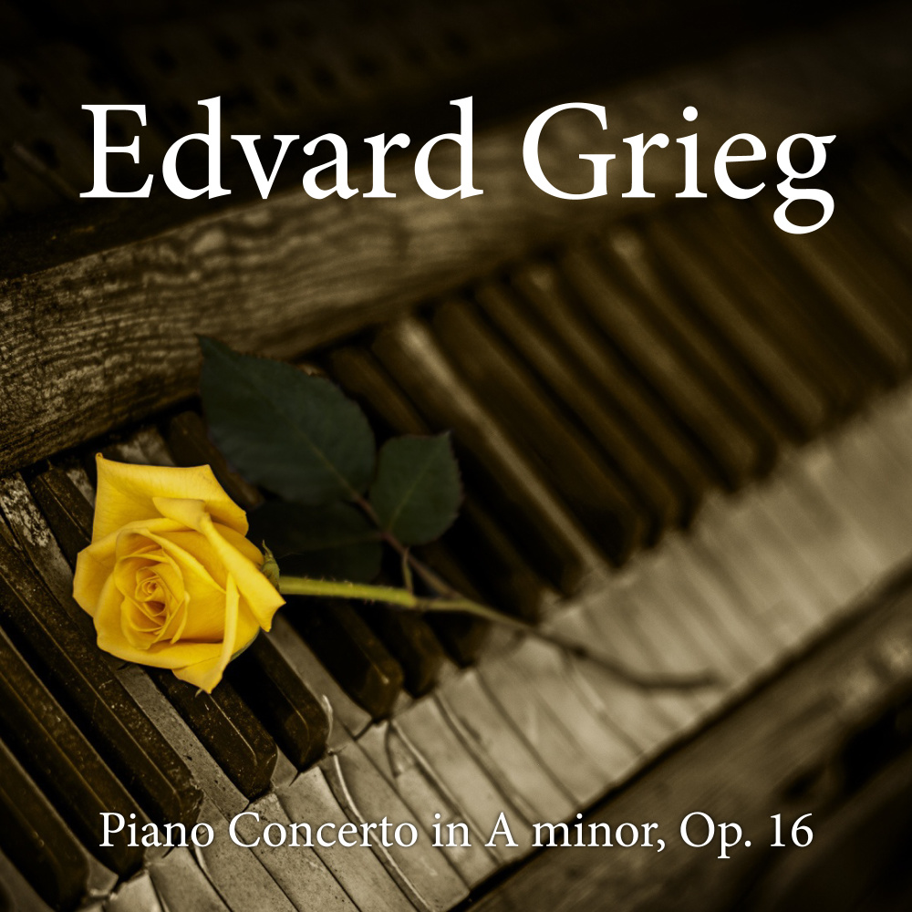 Piano Concerto Op. 16 - I. Allegro molto moderato in A Minor