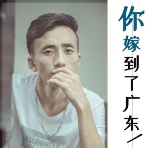 齐仔的专辑你嫁到了广东 (DJ浪子康版)