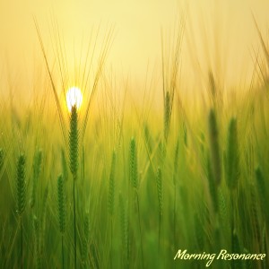 Album Morning Resonance from Angie Hawke