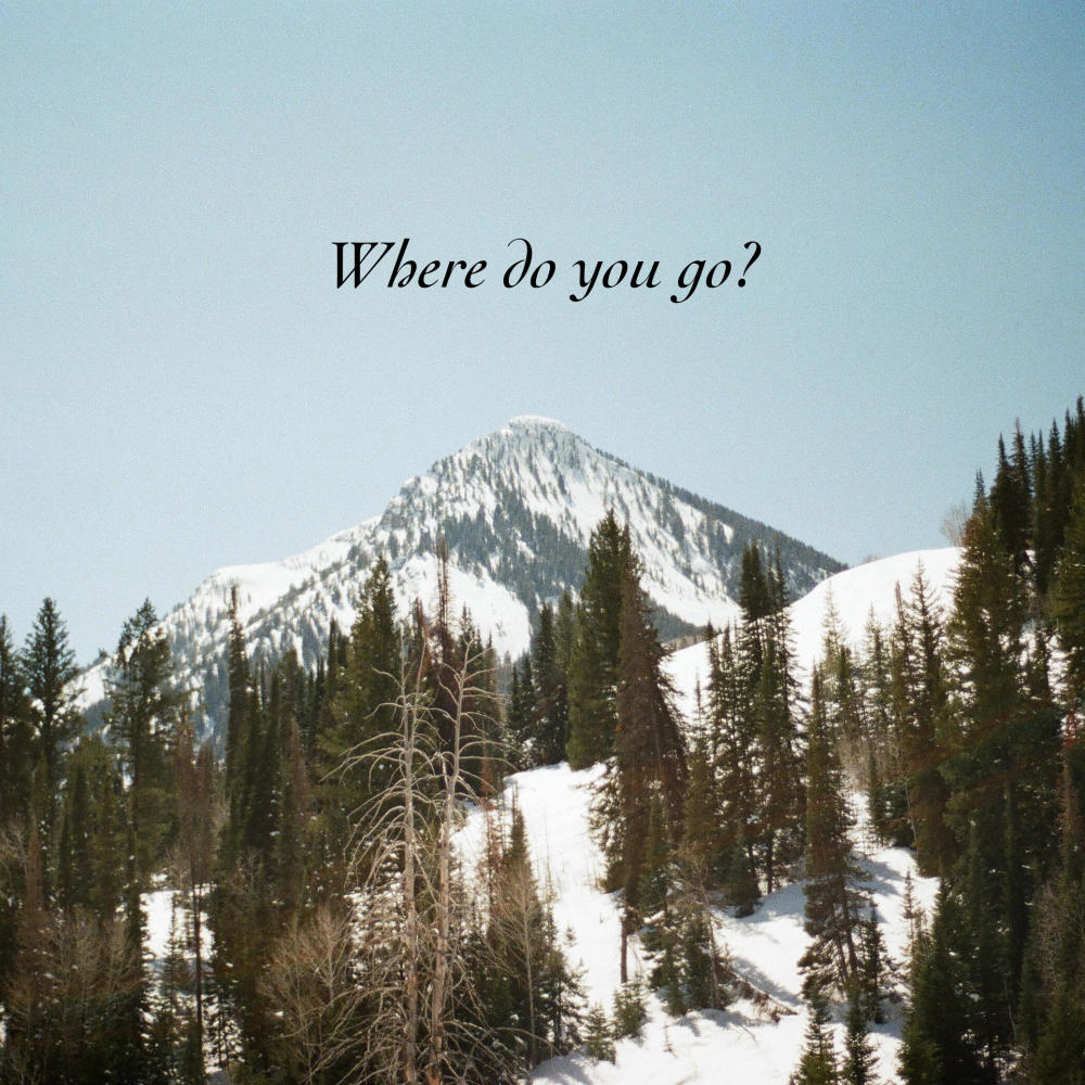 Where Do You Go?