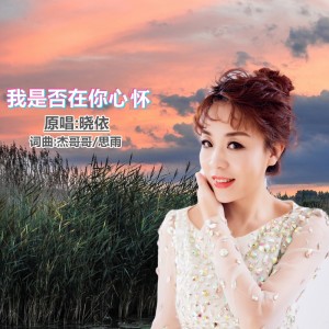 我是否在你心怀
