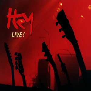 ดาวน์โหลดและฟังเพลง Is It Strange (Live) พร้อมเนื้อเพลงจาก Hey