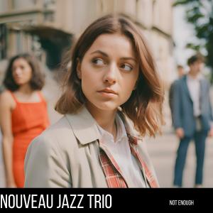 Nouveau Jazz Trio的專輯Not Enough