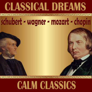 Symphony Orchestra Ljubljana的專輯Classical Dreams. Calm Classics