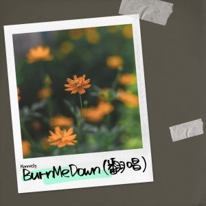 Listen to Burn Me Down (cover: TF家族|TOP登陆少年-朱志鑫|TOP登陆少年-左航|TF家族-张峻豪) (完整版) song with lyrics from Kennedy