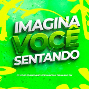 Dj Daniel Fernandes的專輯Imagina Você sentando (Explicit)