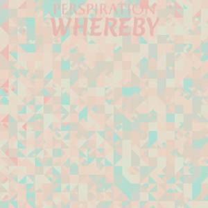 อัลบัม Perspiration Whereby ศิลปิน Various