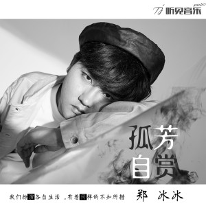 Listen to 孤芳自赏 (伴奏) song with lyrics from 郑冰冰