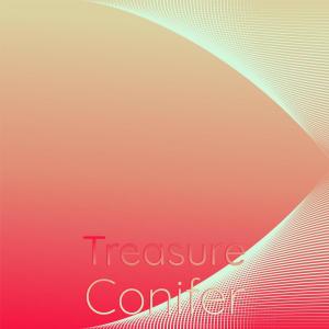 Album Treasure Conifer from 