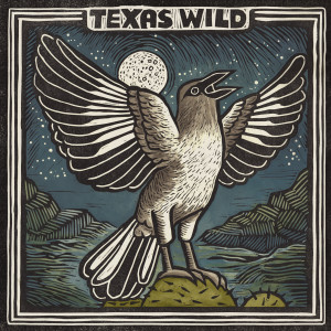 อัลบัม Texas Wild ศิลปิน Various Artists