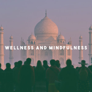 Wellness And Mindfulness