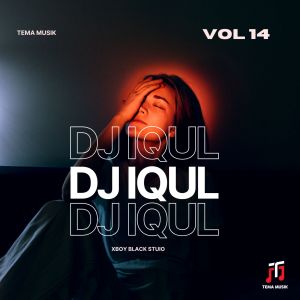 Listen to Boka Boka Sound JJ song with lyrics from DJ IQUL