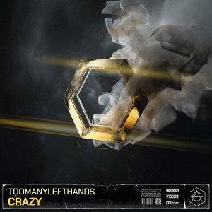 Album Crazy oleh TooManyLeftHands